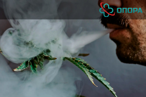 Существует ли зависимость от марихуаны или ее употребление безопасно: действие, польза и вред, последствия