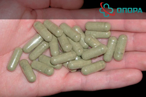 Про наркотик мескалин: эффект, где содержится и чем опасен