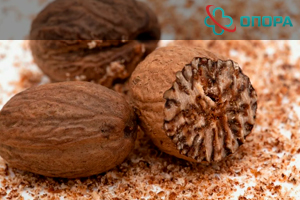 Мускатный орех: польза и вред для организма, наркотический эффект, безопасная доза и последствия употребления